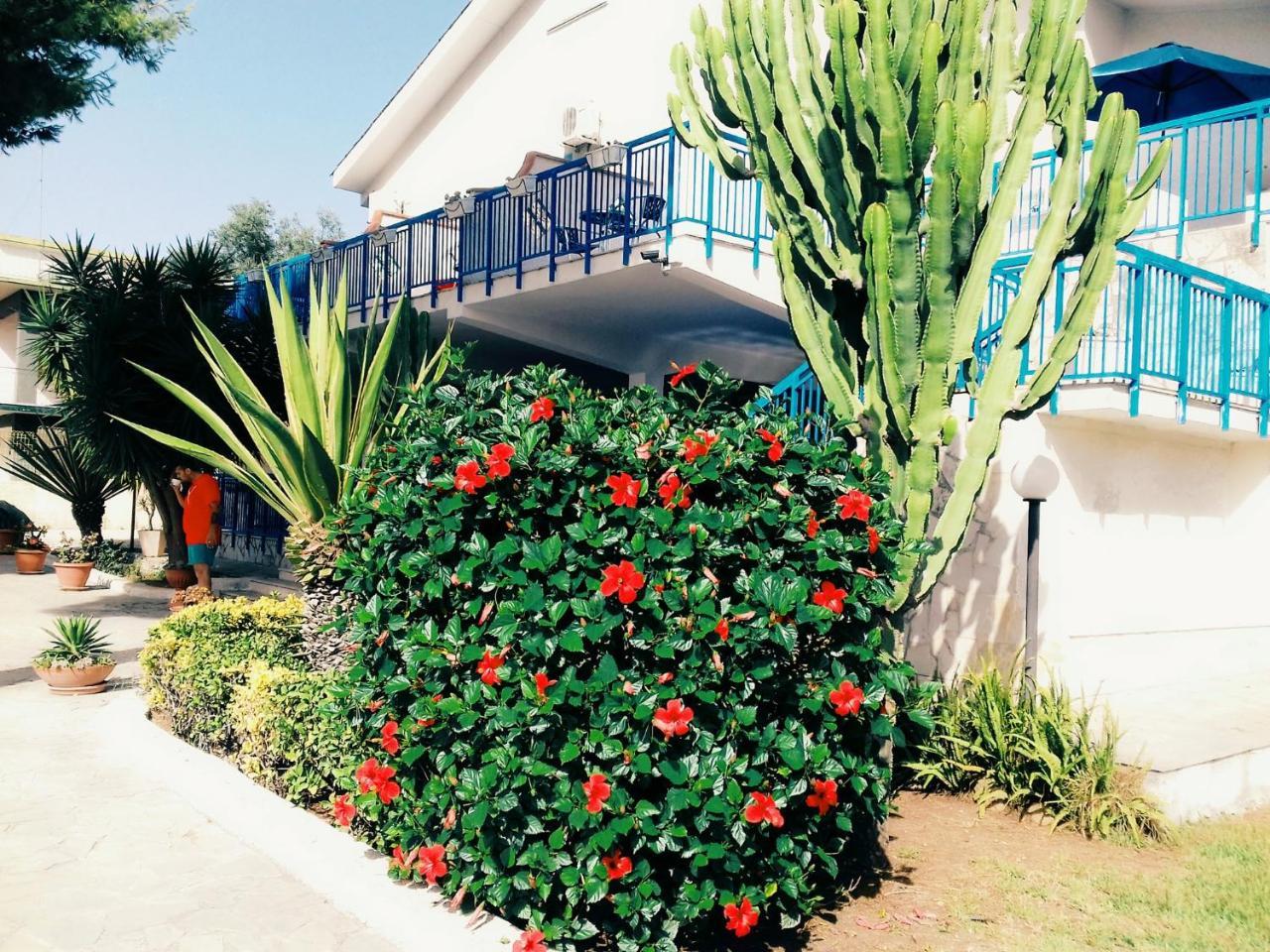 B&B Nido Colorato Fontane Bianche Εξωτερικό φωτογραφία